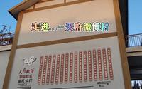 走进天府微博村，你不敢相信这是一个农村。