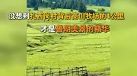 出墨脱去鲁朗，没想到扎西岗村背后高山牧场的4公里，才是鲁朗美景的精华(1)
