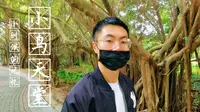 小学课本中的小鸟天堂到底是什么样子的？榕树太大根本看不清全貌