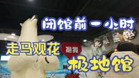 临近闭馆，走马观花哈尔滨极地公园的极地馆