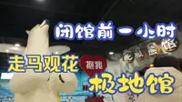 临近闭馆，走马观花哈尔滨极地公园的极地馆
