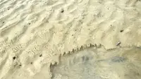 周末假期，带上家人来北海红树林66赶海基地！丰富的蛏子等您来发现，专业指导+全套工具，停车便利，还能冲个澡#红树林66赶海基地 #红树林赶海 #周末假期去赶海