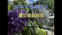 2024端午节绵阳安州蝴蝶谷，遇见栖心民宿休闲游