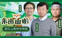 【直播回放】南京红山森林动物园巡山