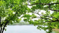 魅力宿州·走进五柳仙境