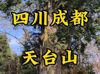 走遍所有5A景区第56站，四川成都天台山。