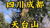 走遍所有5A景区第56站，四川成都天台山。