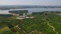 汤阴汤河国家湿地公园为国家AAAA级旅游景区、国家级湿地公园