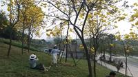 南宁江南公园