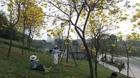 南宁江南公园