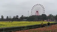 江门长廊生态园一日游：萌宠牧场+机动游戏+奇幻森林