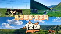 乌兰察布黄花沟太惊艳了，草原天路竟然有这么一处隐藏的绝美景点！