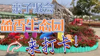 盈香生态园#小朋友的乐园#亲子好去处
