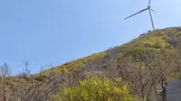 山西省运城市盐湖区凤凰谷森林公园