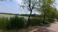 天然氧吧，麻大湖湿地公园记录美好生活。