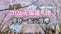 2026无锡鼋头渚赏樱攻略 | 带你一起云赏樱(五)