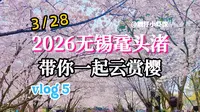 2026无锡鼋头渚赏樱攻略 | 带你一起云赏樱(五)