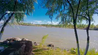伊犁河旅游风景区