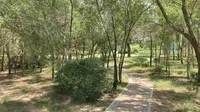 2026.08.11，海州露天矿国家矿山公园