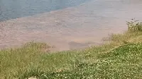 玉溪市聂耳音乐广场