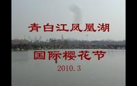 2010年  A  16青白江樱花节