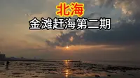 北海金滩赶海第二期