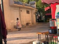 国庆节坐小火车环游雁滩公园，一览无余秋天美景