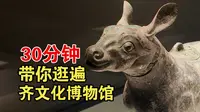 淄博齐文化博物馆｜一条视频带你30分钟快速逛馆
