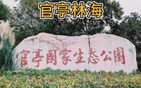 官亭林海景区，皖中天然生态氧吧