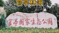 官亭林海景区，皖中天然生态氧吧