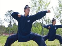 被发现啦！遇真宫前院，传承班的两位师兄正在练武当伏虎拳