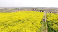 安徽芜湖市无为市红色山水涧景区