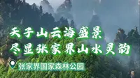 天子山云海盛景，尽显张家界山水灵韵 (素材来源:张家界云上天子山) #大张家界国际旅游区#张家界国家森林公园#湘约湖南