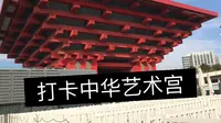 今日中华艺术宫一游