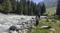 布隆沟捡石头