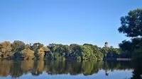 实拍齐齐哈尔龙沙公园美景，黑龙江最早建立的公园，里面小松鼠好可爱