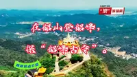 在韶山登韶峰，探“韶峰古寺”。