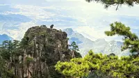 世界遗产黄山：第一天 石笋矼 卧云峰 始信峰 狮子峰