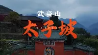 武当问道第一站～太子坡复真观。“道法自然”的最好诠释就是武当山第一站太子坡，依山就势，天人合一的建筑典范。#旅行推荐官 #航拍#古建筑之美 #文化旅游#武当山