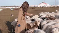钱还会再回来，但再不会在我的32岁 跨越4000公里 和好朋友们 在黑山头访牧户 骑马 看日落~