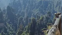 张家界点将台3