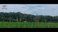 蜀中净土——资阳乐至报国寺巡礼