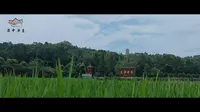 蜀中净土——资阳乐至报国寺巡礼