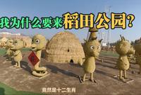 太原稻田公园真的好吗？深度体验攻略