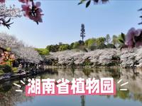 湖南省植物园，集科研科普旅游一体植物园