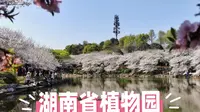 湖南省植物园，集科研科普旅游一体植物园