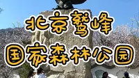 北京鹫峰国家森林公园
