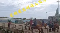崇明前卫村海上花岛马战