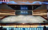 参观贵州省地质博物馆，展厅一神秘贵州，丰富的地质岩石恐龙化石