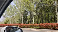 潍坊植物园真挤，重新规划路线
